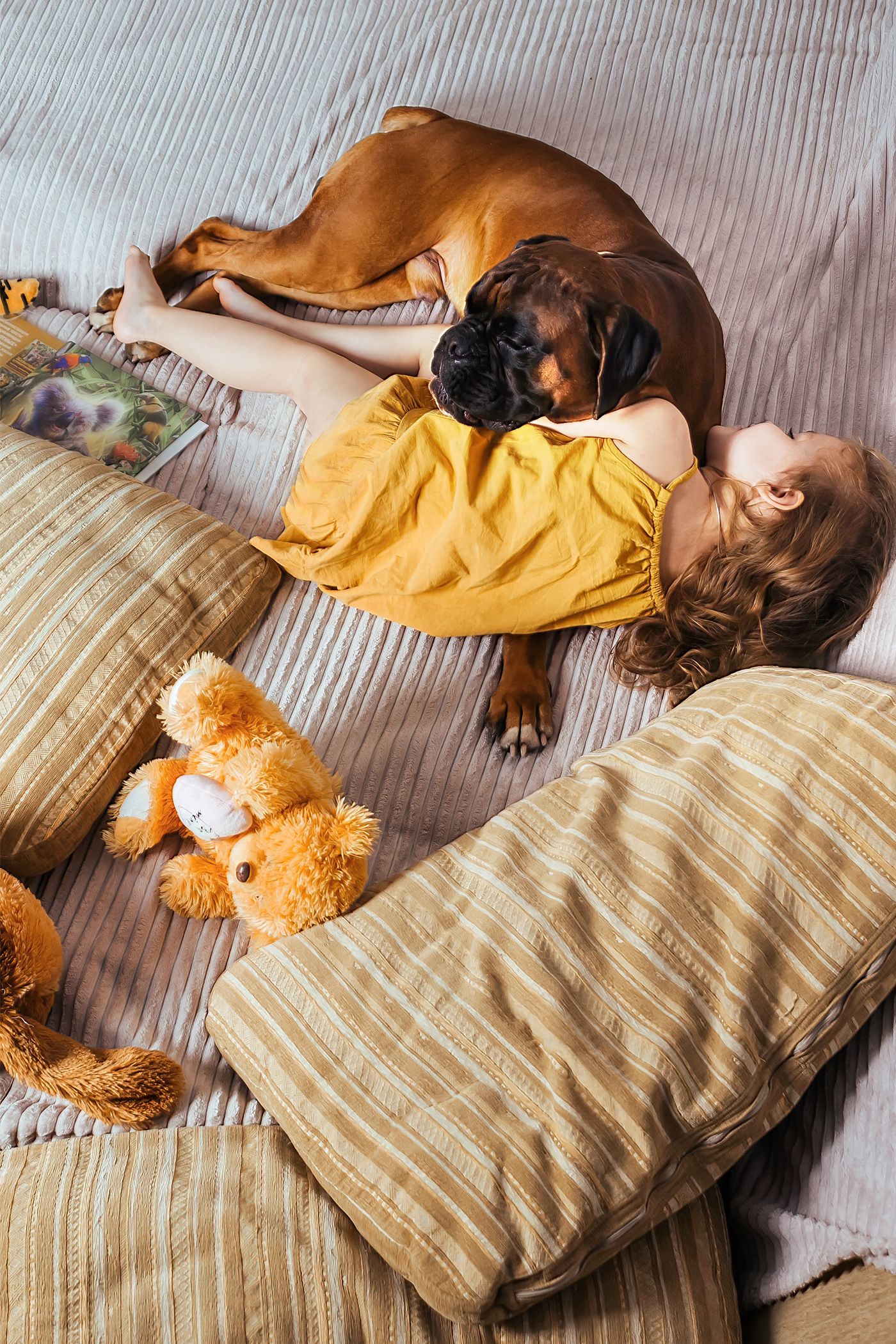 Sala de una vivienda tratada, con mascota y juguetes infantiles